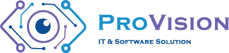 provision colored logo